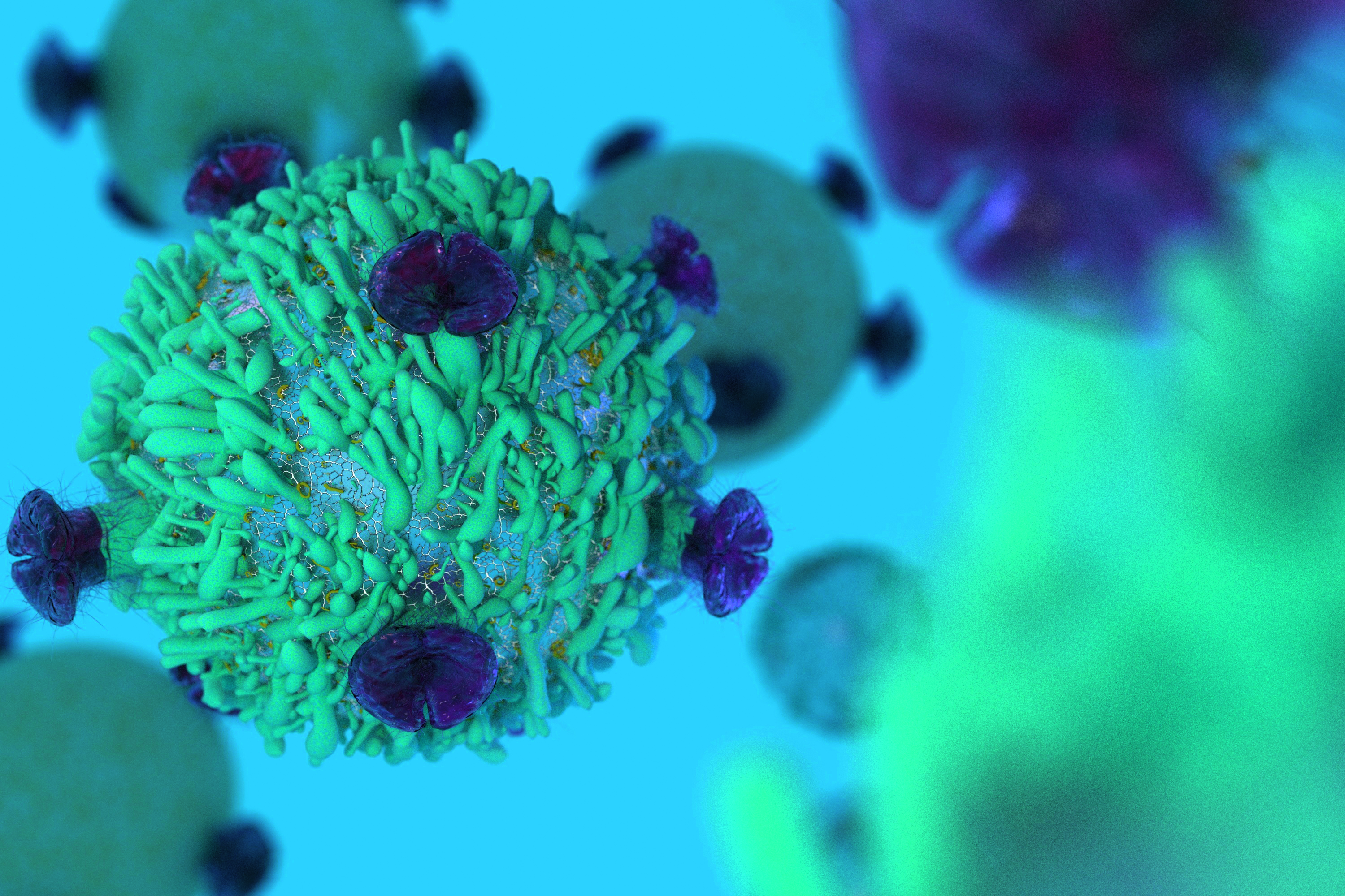 Eine Abwehrzelle des Immunsystems (T-Lymphozyten, kurz: T-Zellen) mit Rezeptoren auf ihrer Oberfläche. (@ Catalin - Fotolia)