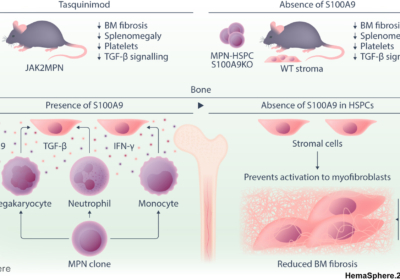 hem370179-gra-0001-m