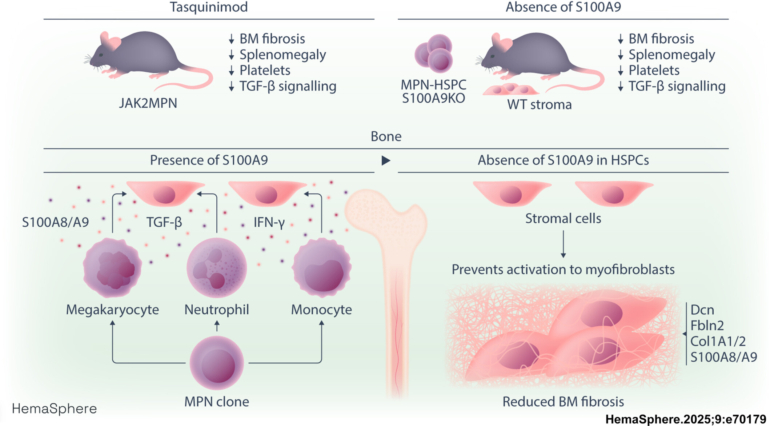 hem370179-gra-0001-m