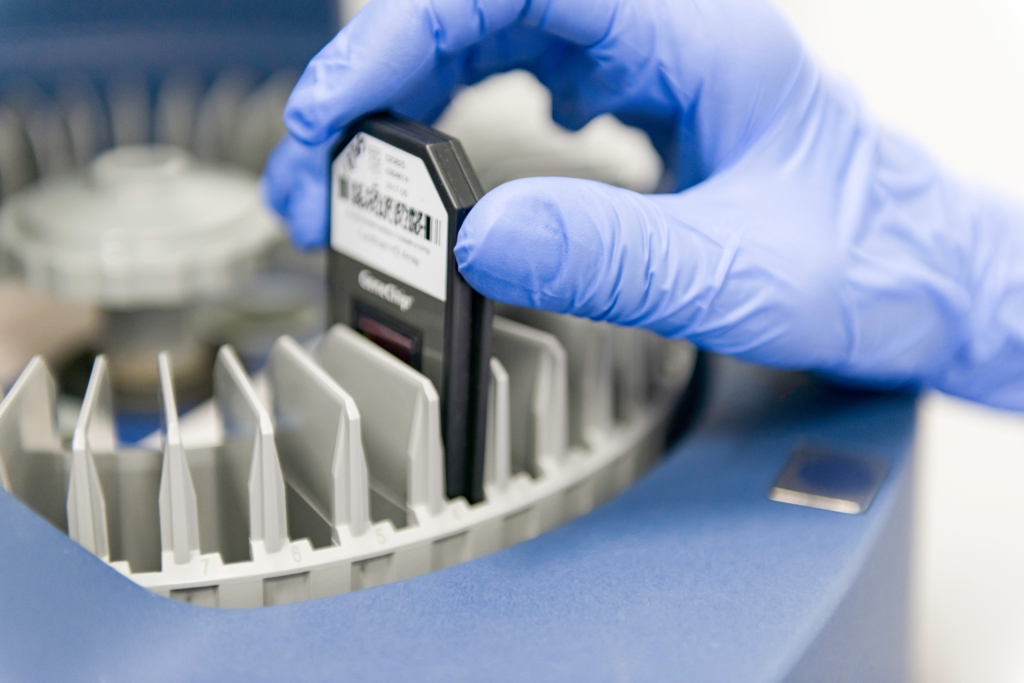 _DSC9132_77,9 x 52,0 cm_240dpi