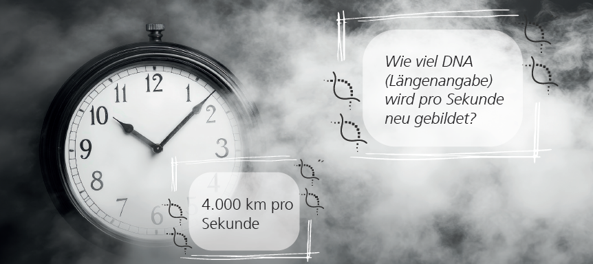 Screenshot Forschungsmagazin_Seite 12