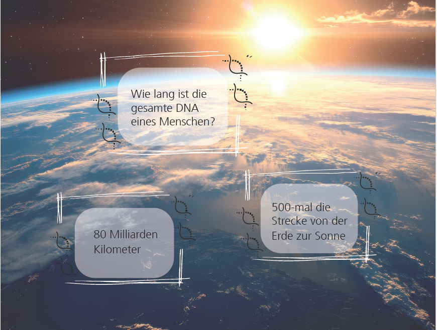 Screenshot Forschungsmagazin_Seite 13