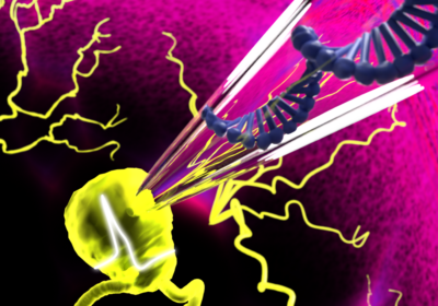 cell-cover-unipolar-neuron-final_k