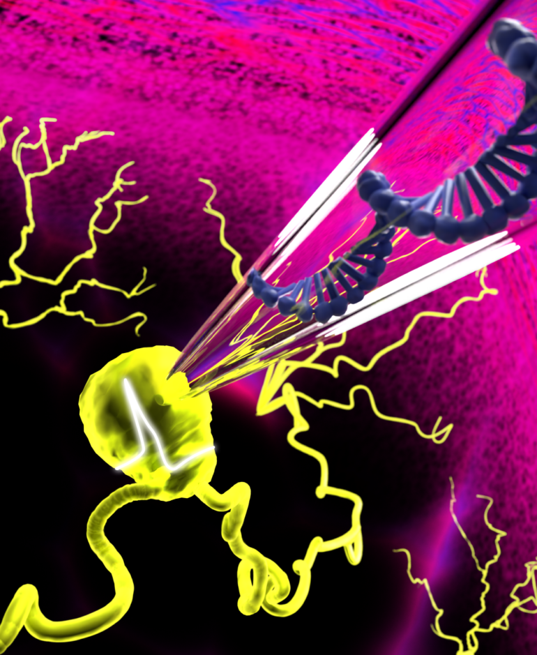 cell-cover-unipolar-neuron-final_k