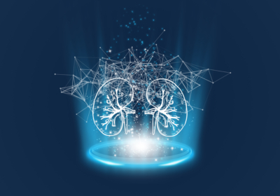 Kidney hologram, verifies the test results on the virtual interface, and analyzes the data. Kidney disease, kidney stones, cutting-edge technologies, and future medicine